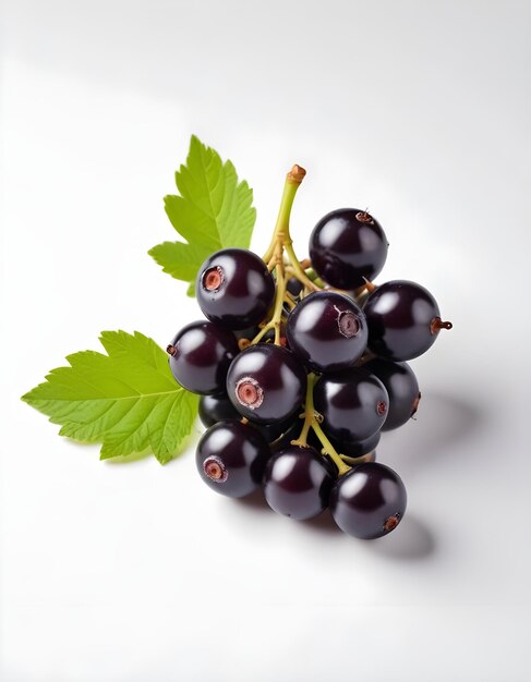 Photo a bunch of black grapes with a green leaf that says  blackberry