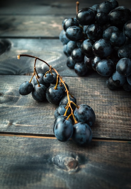 Bunch of black grapes