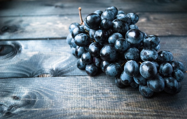 Bunch of black grapes