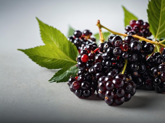 a bunch of blackberries with green leaves on a table