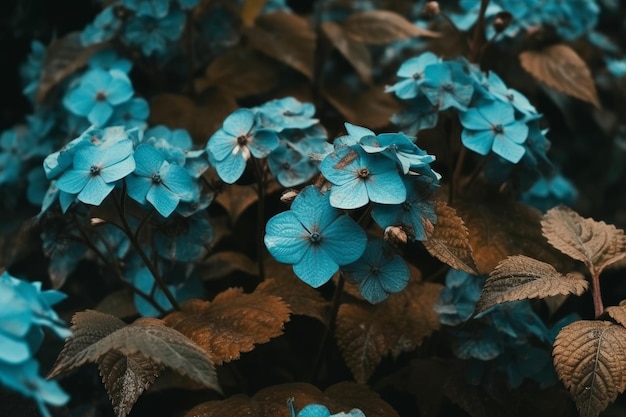 A bunch of blue flowers with the word love on it