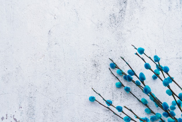 Bunch of blue willow twigs