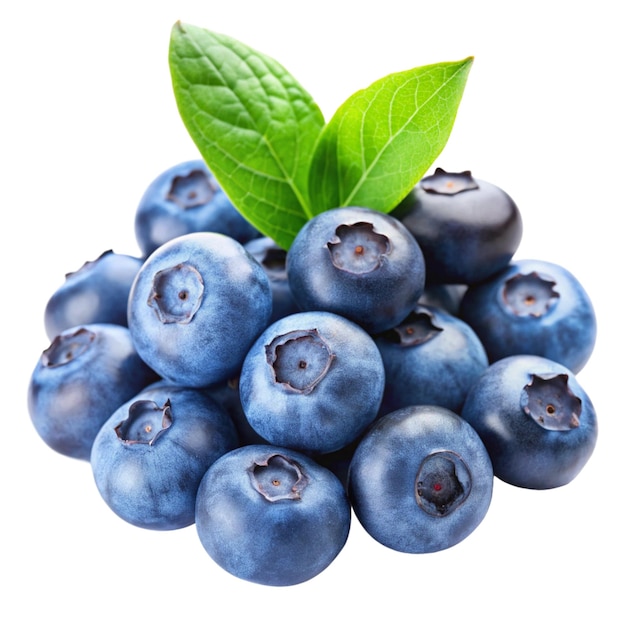 a bunch of blueberries with a green leaf that is being held up by a green leaf