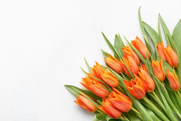 Bunch of bright orange tulips on a white background mothers day valentines day birthday concept