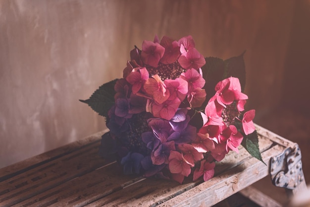 Bunch of colorful hydrangeas