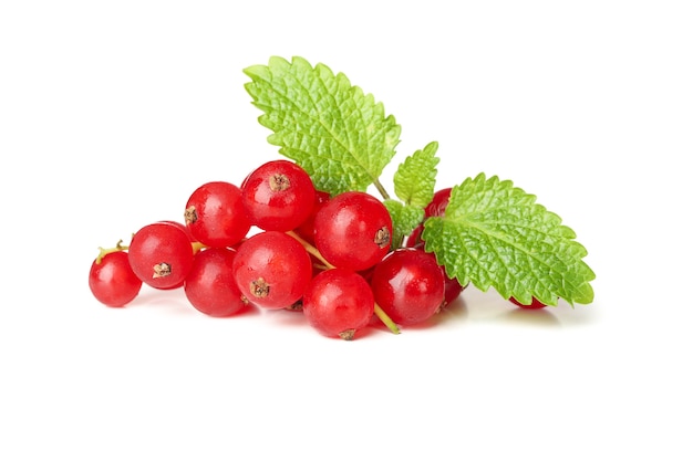 Bunch of cranberry isolated on white