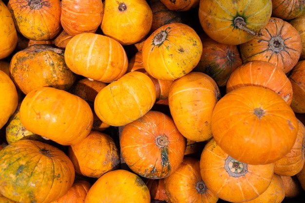 Bunch of deep yellow pumpkins at food market. Good for soup or baking. For background or food illustration.