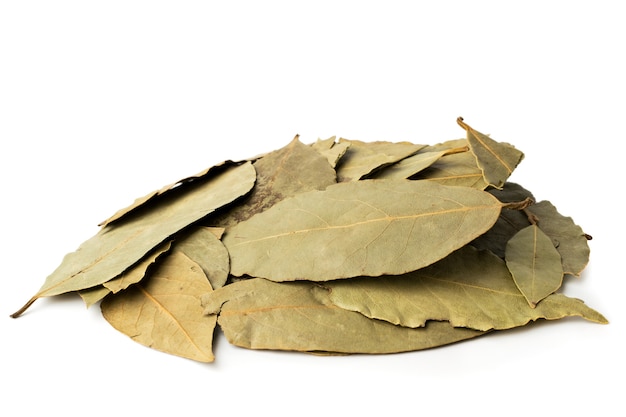 Bunch of dried Laurel leaves on white, isolated