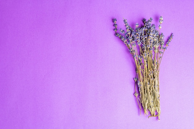 Bunch of dried lavender flowers