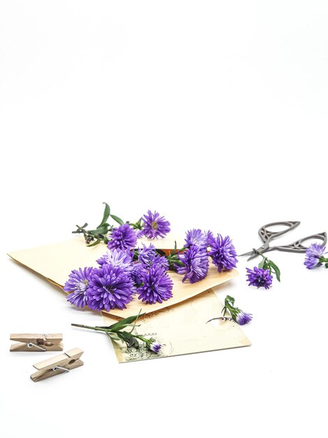 A bunch of flowers are laying on a piece of paper with a white background.