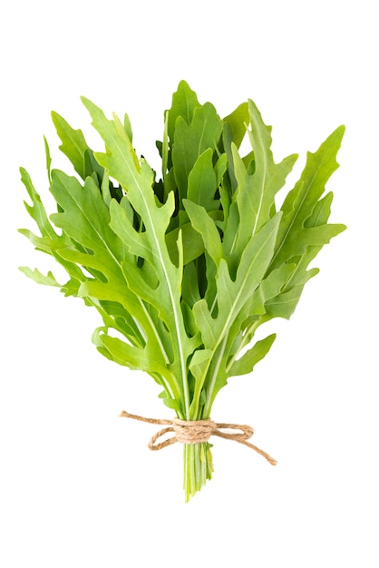 Bunch of fresh arugula isolated on a white surface