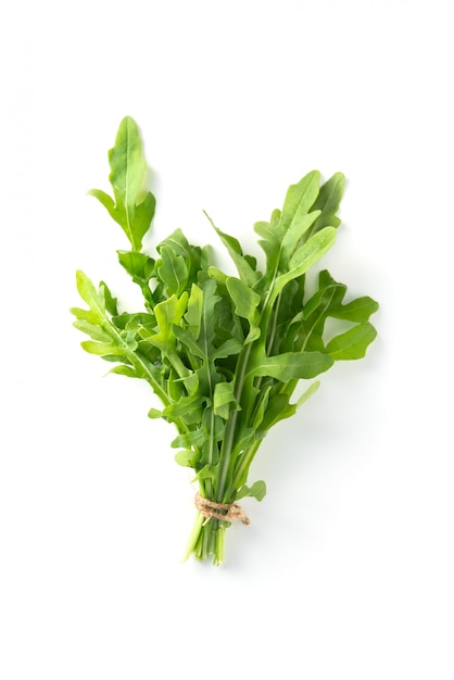 Bunch fresh arugula isolated