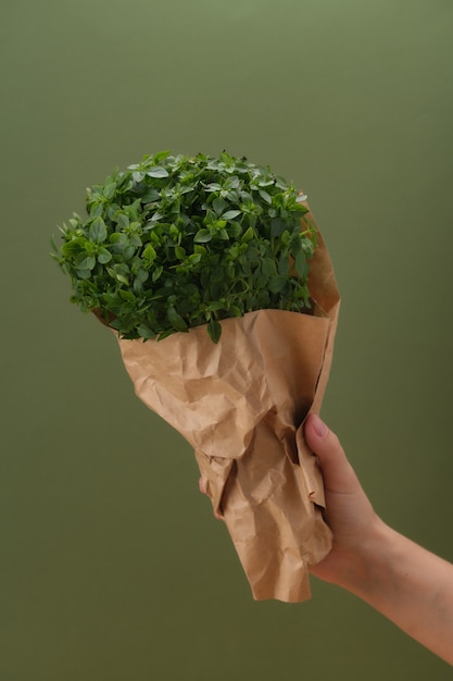 Bunch of fresh basil in a persons hand healthy food and vegetarianism concept micro greens