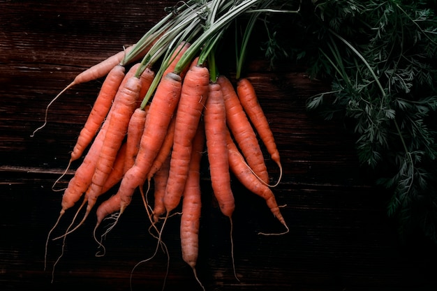 Bunch of fresh carrots close up