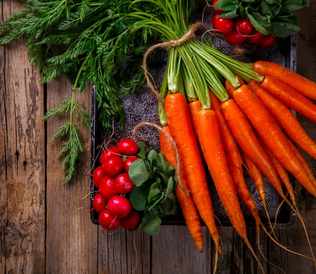 Bunch of fresh carrots with green leaves and a bunch of radishes 