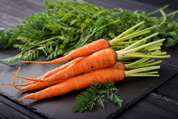 Bunch of fresh carrots with green leaves