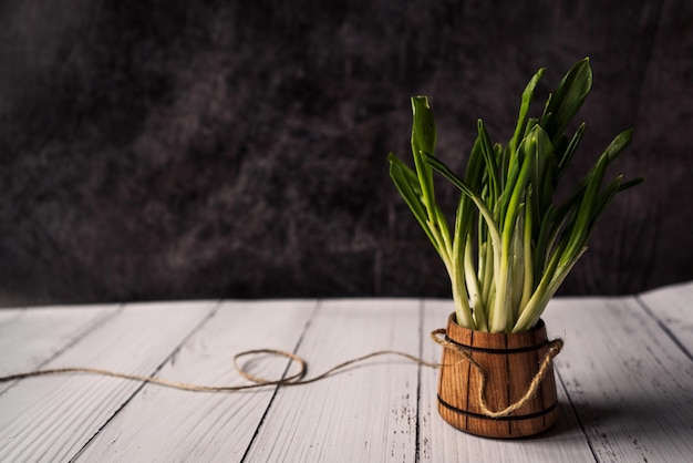 A bunch of fresh ecofriendly and healthy greens in a wooden glass on a white wooden background Place for text