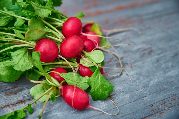 Bunch of fresh garden radish on table