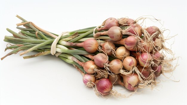 Bunch of Fresh Garlic Bulbs