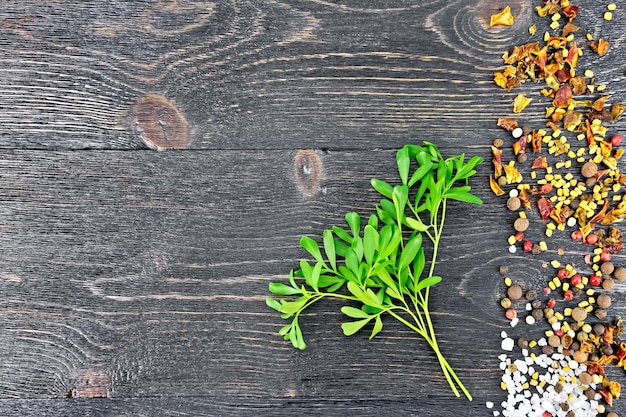 Bunch of fresh green rue with salt pepper fenugreek seeds against a black wooden board