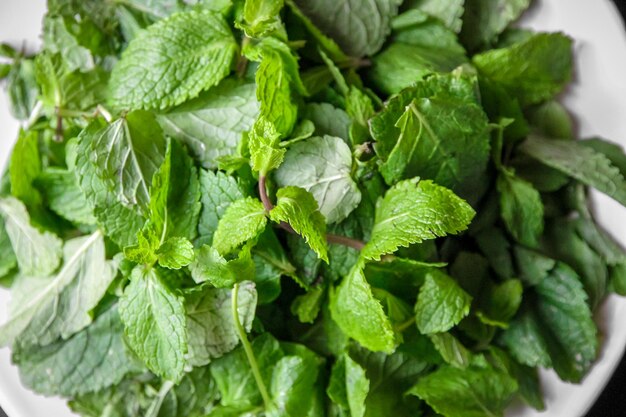 Bunch of fresh mint