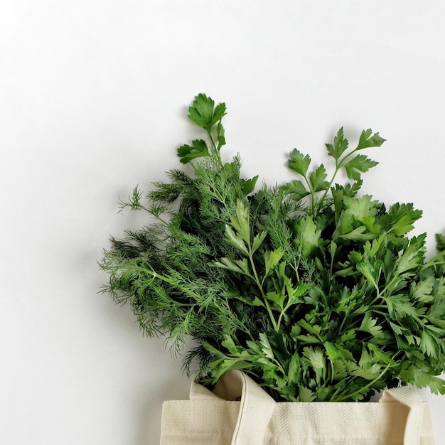 A bunch of fresh organic greenery parsley and dill in a cotton reusable bag on a white background