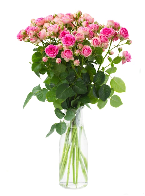 Bunch  of fresh pink roses in glass vase  isolated on white space