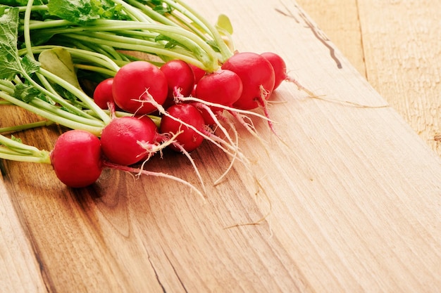 Bunch of fresh radish with leaves on cutting board Vitamin vegetables Fresh garden harvest Close up view with shallow DOF