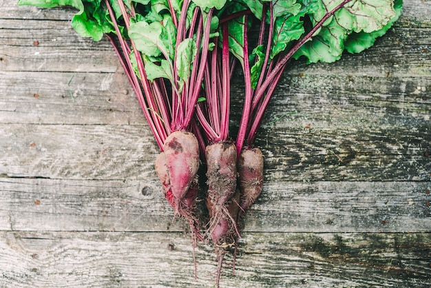 Bunch of fresh raw organic beets with leaves on rustic wooden background. Agriculture. Soft selective focus.