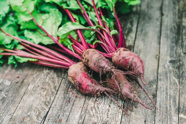 Bunch of fresh raw organic beets with leaves on rustic wooden background. Agriculture. Soft selective focus.