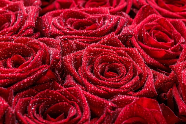 Bunch of fresh red roses floral background