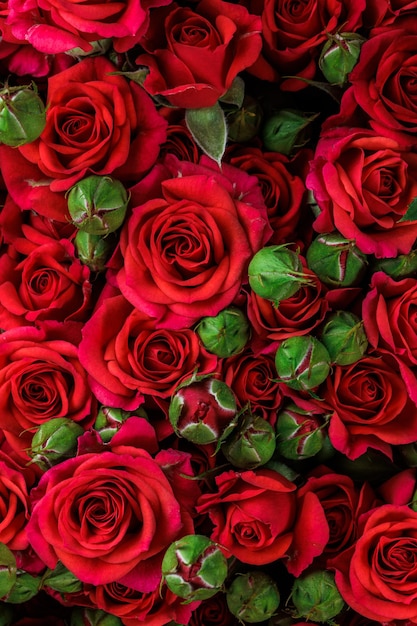 Bunch of fresh red roses floral background