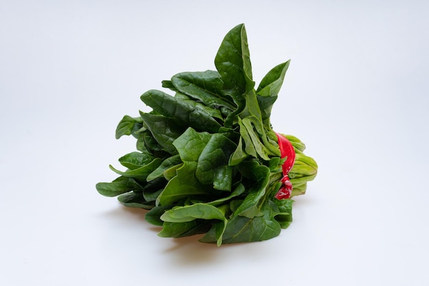 Bunch of fresh spinach on a white background