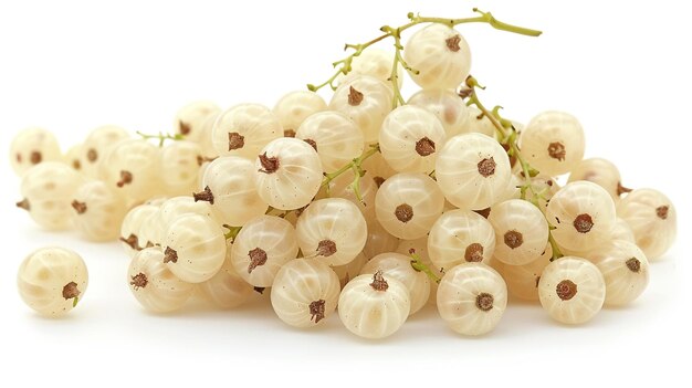 Photo bunch of fresh white currant on white background