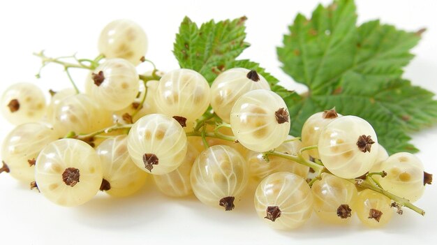 Photo bunch of fresh white currant on white background