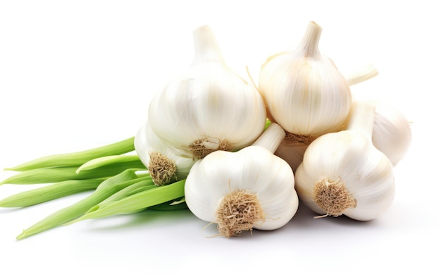 Bunch of garlic isolated on white background