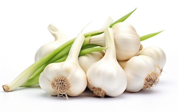 Bunch of garlic isolated on white background