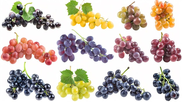 a bunch of grapes are shown with the word  im  on the bottom