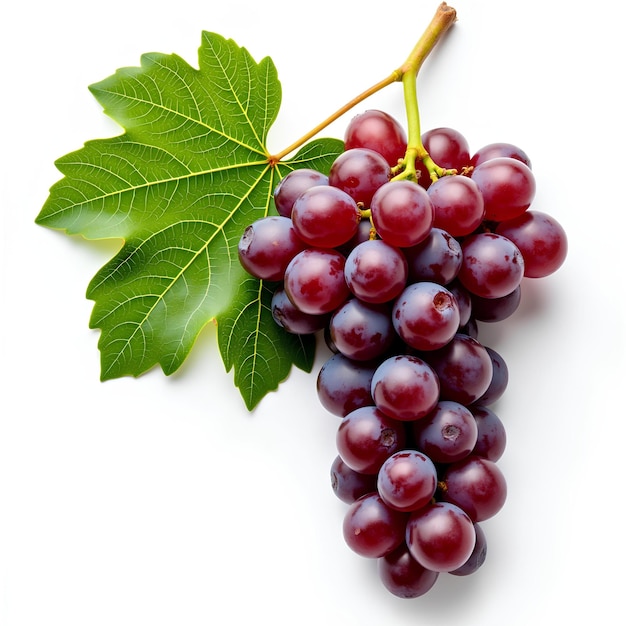 A bunch of grapes with a leaf