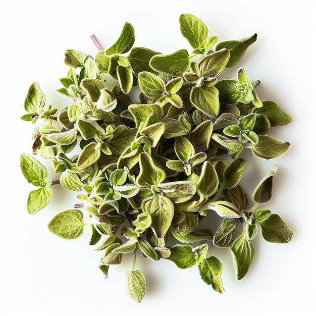 a bunch of green basil leaves that are on a white background