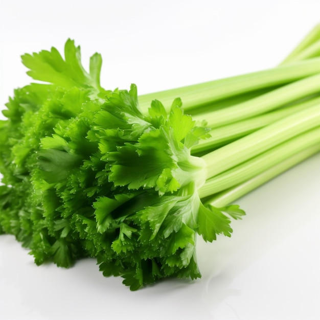 A bunch of green celery on a white surface