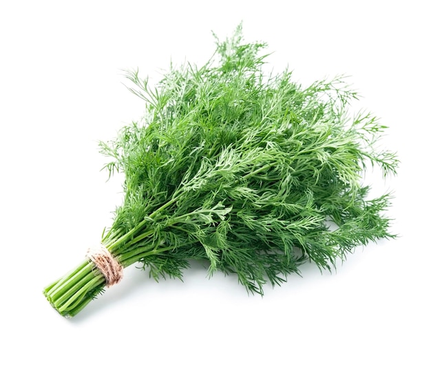 Bunch of green dill