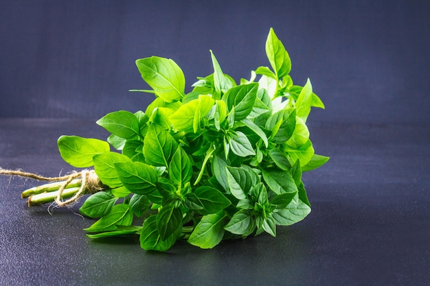 A bunch of green lemon basil on a dark gray concrete background.