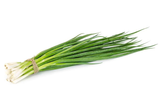 Bunch of green onions isolated on white background