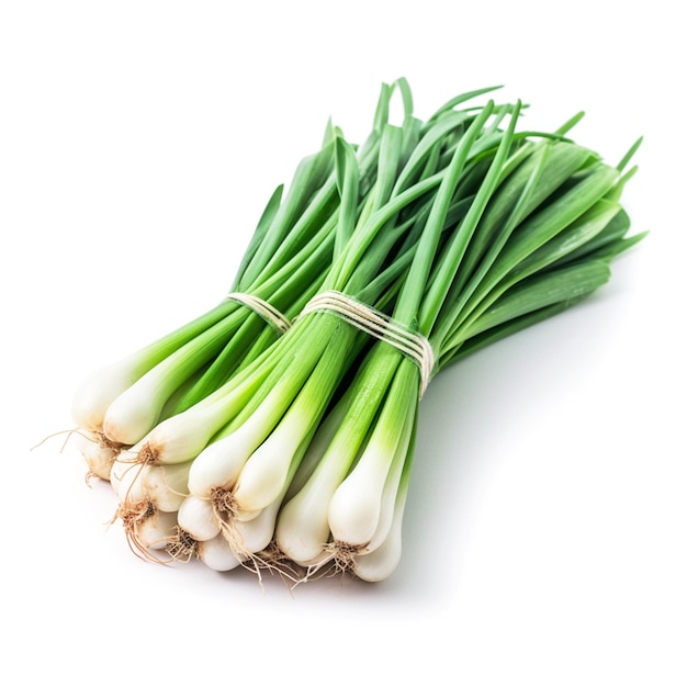 A bunch of green onions with the top one that is tied with a string.