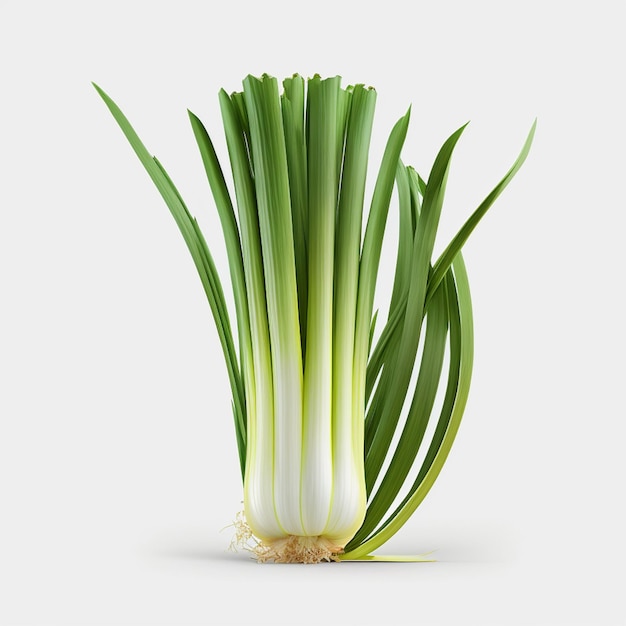 A bunch of green onions with the word spring on it