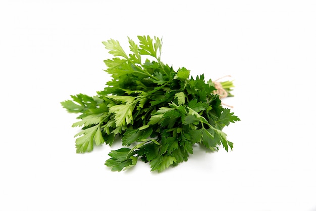 Bunch of green parsley leaves on white