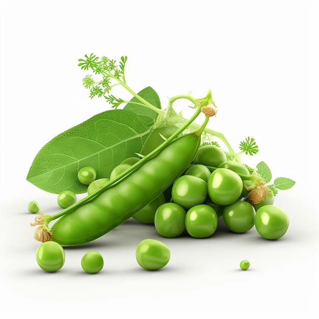 A bunch of green peas and a leaf with the word pea on it