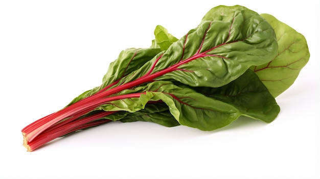 a bunch of green and red leafy vegetables