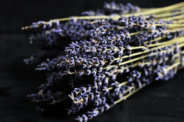 Bunch of lavender closeup